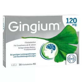 GINGIUM 120 mg filmom obložene tablete, 30 kom