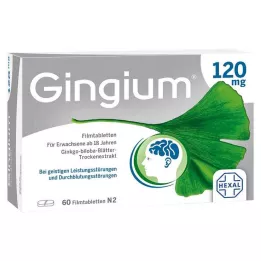 GINGIUM 120 mg filmom obložene tablete, 60 kom