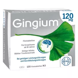 GINGIUM 120 mg filmom obložene tablete, 120 kom