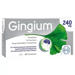 GINGIUM 240 mg filmom obložene tablete, 40 kom