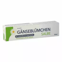 GÄNSEBLÜMCHEN Mast s hamamelisom & Panthenol, 50 ml