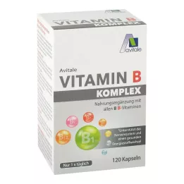 VITAMIN B KOMPLEX kapsule, 120 kom