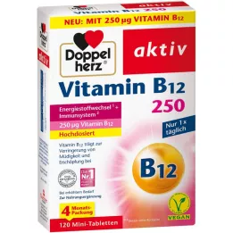 DOPPELHERZ Vitamin B12 250 aktivnih tableta, 120 kom