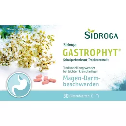 SIDROGA Gastrophyt 250 mg tablete prekrivenih filmom, 30 sati