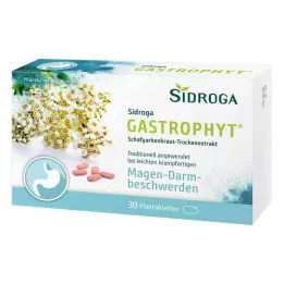 SIDROGA GastroPhyt 250 mg filmom obložene tablete, 30 kom