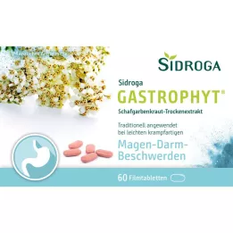 SIDROGA GastroPhyt 250 mg filmom obložene tablete, 60 kom