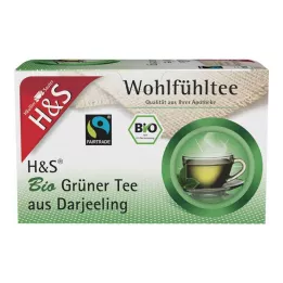 H&S Organski zeleni čaj iz Darjeeling filter vrećica, 20X2 g