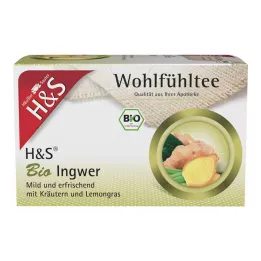 H&amp;S Filter vrećice organskog đumbira, 20X2 g