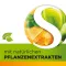 Dobensana biljni med Vitamini C &amp; Cink pastila.(36 komada)