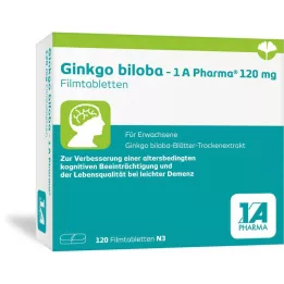 GINKGO BILOBA-1A Pharma 120 mg film -coated tablets, 120 pcs