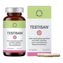TESTISAN kapsule, 60 kom