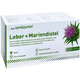 Amitamin čičak + kapsule za jetru (120 kom)
