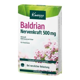 Kneipp Valerijana Nerve Power 500 mg filmom obložene tablete, 30 kom