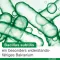 Bioticloges subtilis kapsule, 30 kom